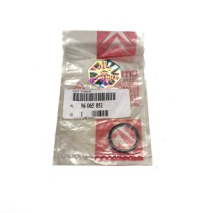 اورینگ پایینی پایه گوی جلو زانتیا اورجینال