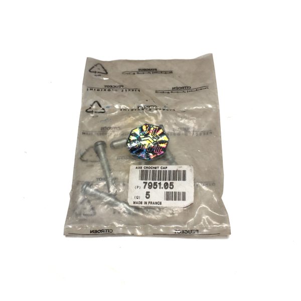 پین و فنر قلاب کاپوت زانتیا اورجینال