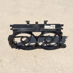 سینی فن پیچی زانتیا اورجینال